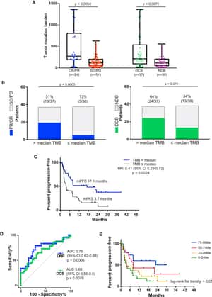 Genomic Features of Response to Combination Immunotherapy in Patients with Advanced Non-Small-Cell Lung Cancer