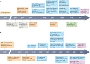 Third-generation EGFR and ALK inhibitors: mechanisms of resistance and management - Nature Reviews Clinical Oncology