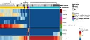 Recommendations for the classification of germline variants in the exonuclease domain of POLE and POLD1 - Genome Medicine