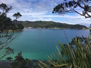 Tryphena 2021: Best of Tryphena, New Zealand Tourism - Tripadvisor