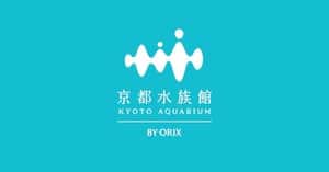 見れば見るほど魅力あふれる「オオサンショウウオ」の特徴とは？ | 梅小路京都西駅からすぐ「京都水族館」【公式サイト】