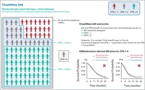 Low Programmed Death-Ligand 1–Expressing Subgroup Outcomes of First-Line Immune Checkpoint Inhibitors in Gastric or Esophageal Adenocarcinoma | Journal of Clinical Oncology