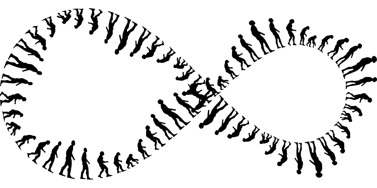 12173bf026-loop.png