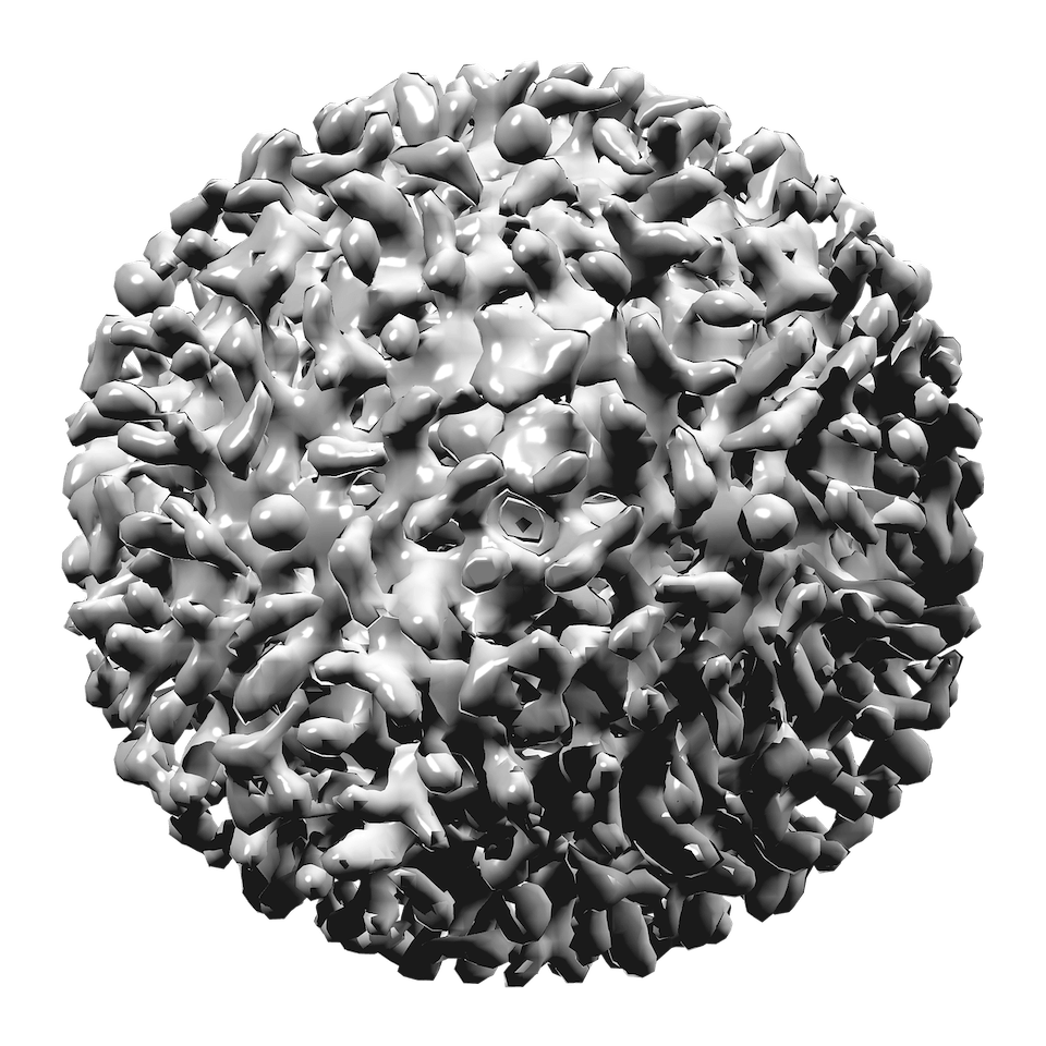 289e499f14.png